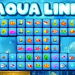 Aqua Link