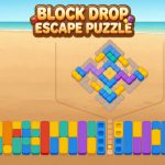 Block Drop Escape Puzzle